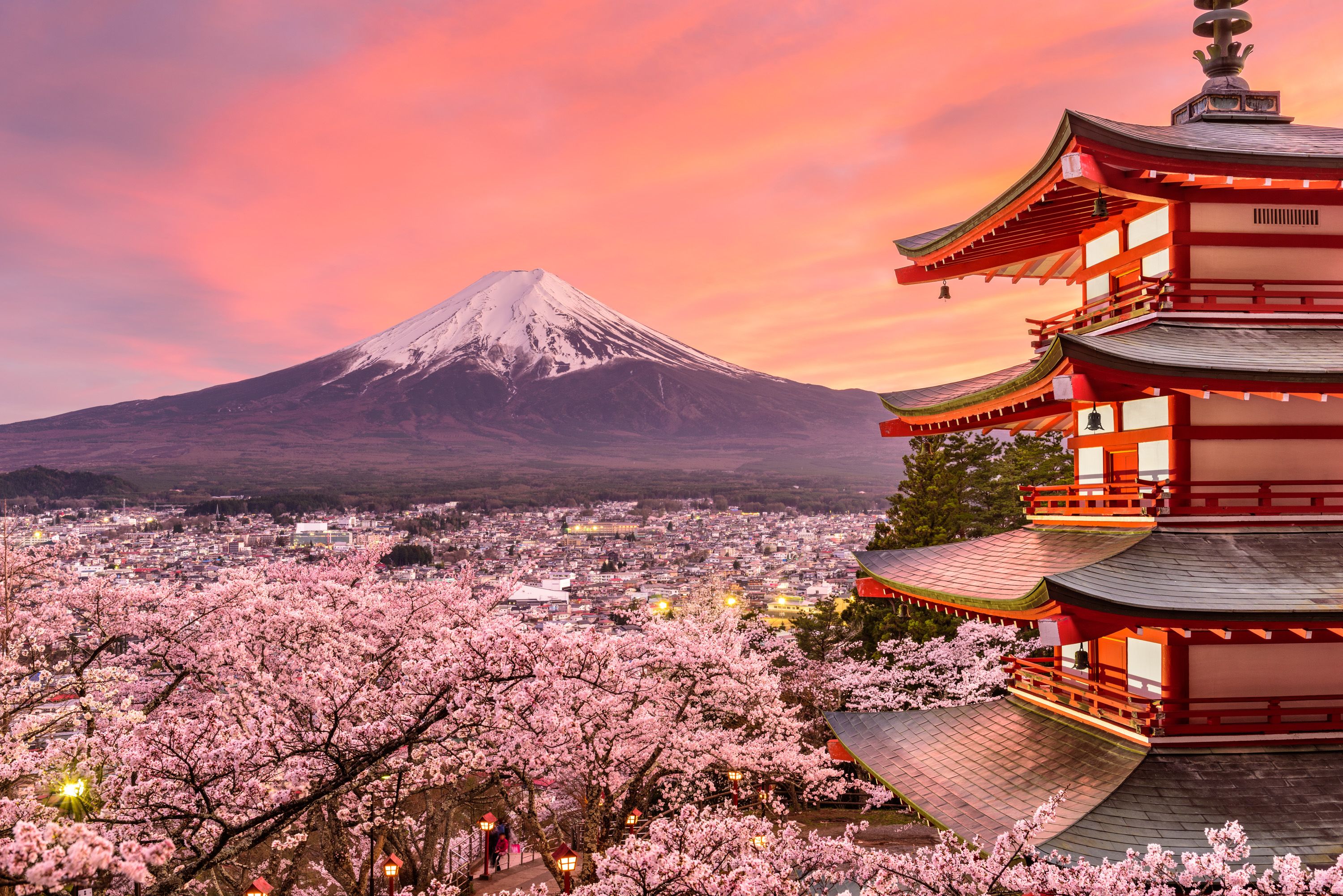 japanese-cherry-blossom-season-promotion